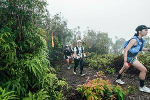 BIB: 
                            <button type="button" onclick="openModal(26272445)" class="btn btn-primary btn-sm float-right btn-popup" data-toggle="modal" data-target=".modal-high-quality">
                        <i class="fas fa-shopping-cart"></i> Add to Cart
                    </button>
                                            <button type="button" onclick="isThisMe(26272445, true)" class="btn btn-success btn-sm float-right btn-popup btn-isme hidden" data-toggle="tooltip" data-placement="bottom" title="นี่คือรูปของคุณใช่ไหม คลิกที่นี่เพื่อเอาเข้าอัลบั้ม">
                        <i class="fas fa-plus"></i> Add to album
                    </button>
                    <button type="button" onclick="isThisMe(26272445, false)" class="btn btn-warning btn-sm float-right btn-popup btn-isnotme hidden">
                        <i class="fas fa-ban"></i> Remove from album
                    </button>